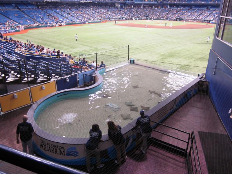 The Tampa Bay Rays Ballpark Tropicana Field