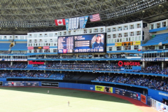 View of Outfield