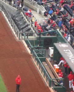nationals park seating tips dugout seats