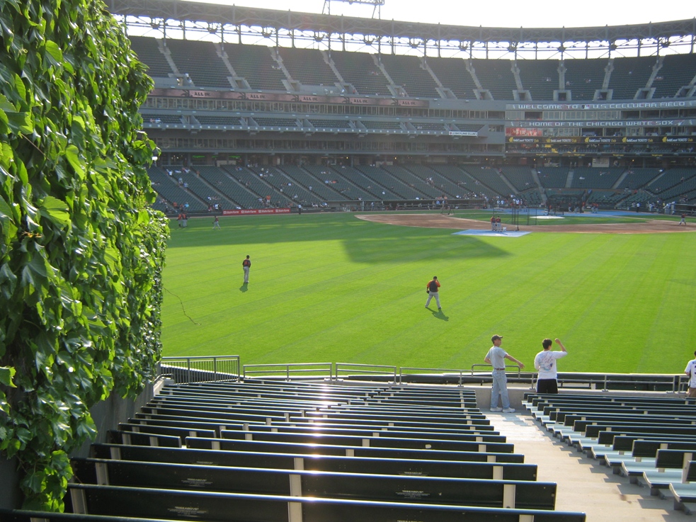 avoid obstructed views guaranteed rate field
